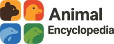 Animal Encyclopedia Logo